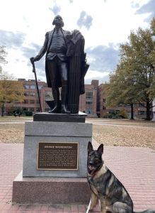 TJ's dog